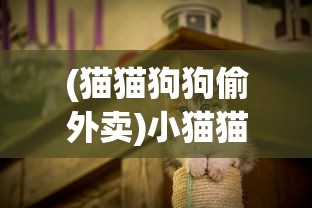 (佚梦羽绒服质量怎么样啊)佚梦羽绒服质量深度解析，从细节展现品质
