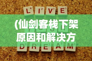 (灵魂宝戒开服时间表)关于灵魂宝戒停服原因的深度分析与探讨