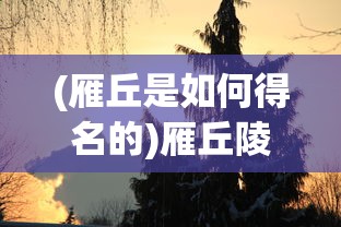(行界重构激活码)行界重构的角色强度排行，深度分析与展望