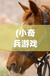 (风声谍影网)风声谍影免广告，探索影视界的新风尚