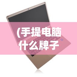 (灵魂宝戒开服时间表)关于灵魂宝戒停服原因的深度分析与探讨