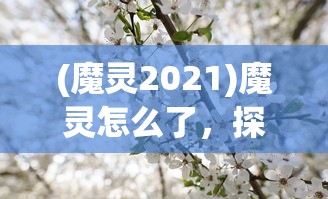 (火炬之光·无限)火炬之光无限交易平台概览及常见问题解答