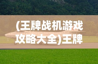 (武道训练营)武道训练的奥秘与挑战，探索最佳实践之路