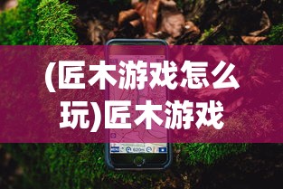 (栖木小屋游戏iOS版本更新内容)栖木小屋游戏，探索虚拟世界的魅力与独特体验