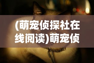 (企鹅侦探还会上架吗)企鹅侦探下架之谜，原因深度解析与探讨