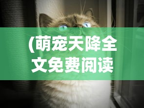 (烈火屠龙破解免实名认证)烈火屠龙PK，游戏竞技的新纪元