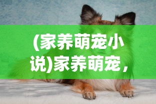 (力量与荣耀 鲜血与雷鸣英文)力量与荣耀，鲜血与雷鸣的象征