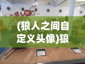 (最终幻想3图文攻略流程详解)最终幻想3图文攻略FC版及常见问题解答