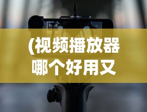 (国术:从地下拳手到世界拳王免费)国术崛起，从地下拳手到世界拳王之路