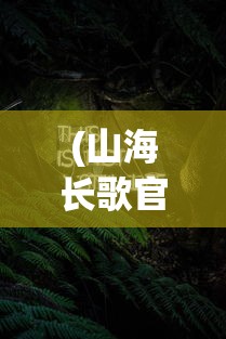 (黑猫奇闻社第一章全结局是什么)黑猫奇闻社第一章全结局解析与探讨