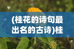 (代号box最新版本是哪个)代号Box最新版本，游戏新体验与功能解析