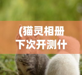 (航海日记2手游)航海日记2，揭秘最暴利的航线