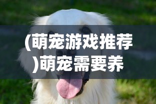 (蓝月争霸真的能赚钱吗)蓝月争霸，一口气看完的热血传奇