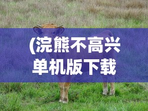 (天黑装备铺赚钱)天黑装备铺类似的游戏探索与体验