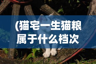 (尘白禁区官服怎么下,手游)尘白禁区官服下载指南及常见问题解答