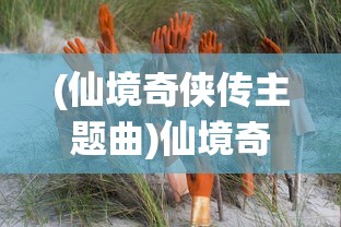 (魔兽世界3.35高清客户端视频)魔兽世界3.35高清客户端，游戏体验的深度解析与常见问题解答