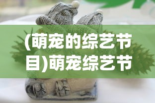 (少年刀剑笑ol兑换码)关于少年刀剑笑皮肤保底的深度解析