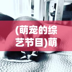 (全民武馆最强隐士阵容攻略)全民武馆，最强隐士阵容揭秘