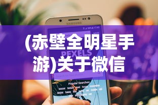 (萌龙大乱斗Wiki)萌龙大乱斗游戏深度解析与常见问题解答