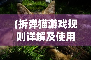 (镇灵物语礼包)关于镇灵物语账号买卖的探讨