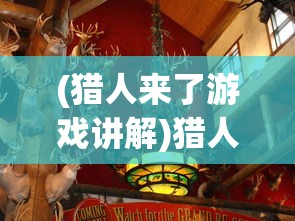 (代号传奇全文免费阅读)代号传奇，免费阅读引领新潮流