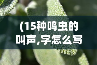 (小屋王国)王小屋20期后任务空缺现象探究