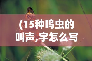 (暴走枪神动漫免费观看)暴走枪神动漫，热血枪战与奇幻世界的交融