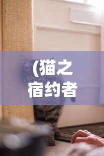 (全民战鹰下载)全民战鹰最新版本更新内容详解及常见问答
