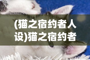 (苍穹守卫者怎么获得)苍穹护卫队0.4官方版，游戏深度解析与常见问题解答