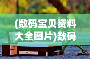 (英雄三国志第二期百度网盘)英雄三国志第二期，深度解析与前瞻