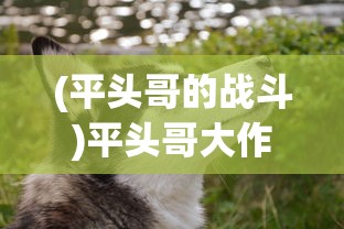 (航海霸业套装)航海霸业魔装的获取方法与攻略