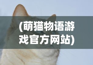 (传承利萨斯英雄阵容怎么搭配的)传承利萨斯英雄阵容搭配策略及实战指南
