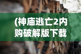 (三剑豪之半面人第十集冷血开阳)三剑豪之半面人，传奇英雄的故事与深度解析
