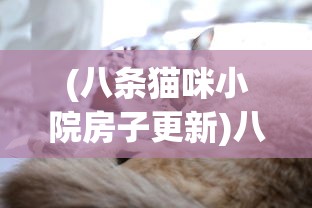 (暴走无双武将排行)暴走无双团上元帝尊称号，荣耀与力量的象征