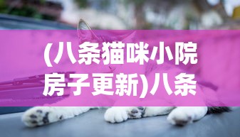 (皇城战激活码2024最新)皇城战激活码，获取、使用及常见问题解答