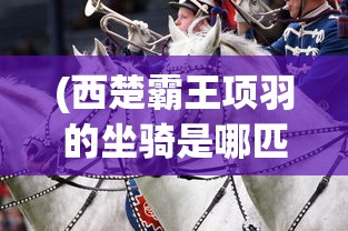 (皇城战激活码2024最新)皇城战激活码，获取、使用及常见问题解答