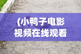 (深度win7纯净版系统)深度win7纯净版，体验纯净的Windows 7系统之旅