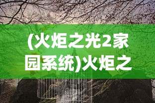 (独奏骑士波动法杖遗产装备洗点)独奏骑士波动法杖遗产，最佳装备搭配攻略