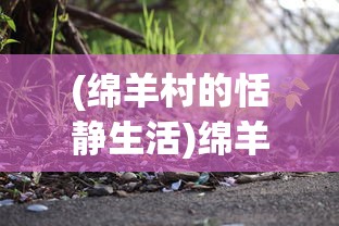 (黑道圣徒安装中文补丁闪退)黑道圣徒3游戏安装指南与常见问题解答