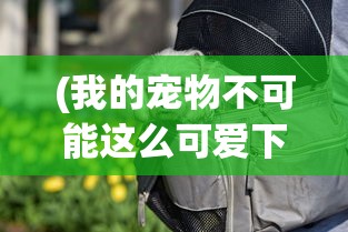 (三国吧兄弟攻略大全最新)三国吧兄弟攻略大全及常见问题解答（FAQ）