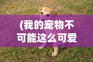 (三国吧兄弟攻略大全最新)三国吧兄弟攻略大全及常见问题解答（FAQ）