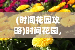 (王牌歼星舰)王牌星舰阵容，构建无敌舰队的关键要素