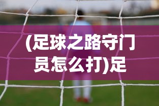 (三国曹贼放开那个武将)三国曹贼放开那个，历史背后的真相与解读