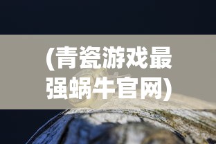 (女配藏拙低调的修真文小说)女配藏拙，低调修真的独特之旅