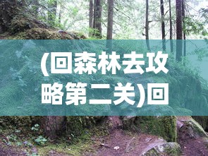 (豪华版曹操传攻略2015版)豪华曹操传攻略2015，全方位解析与常见问题解答