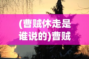 (御驾亲征什么意思指什么生肖)御驾亲征什么意思，古代帝王亲临战场的壮丽画卷