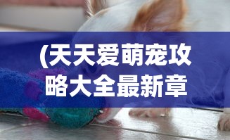 (御驾亲征什么意思指什么生肖)御驾亲征什么意思，古代帝王亲临战场的壮丽画卷