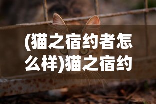 (烈焰皇城手游游戏攻略)烈焰皇城手游，游戏深度解析与常见问题解答
