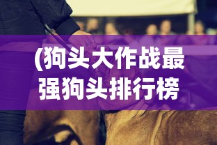 (龙之谷2怎么样?)龙之谷2，游戏热度减退，玩家流失的背后原因探究