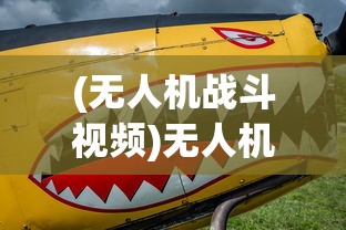 (残阳指的是什么?)残阳百科，探索神秘现象的多维视角
